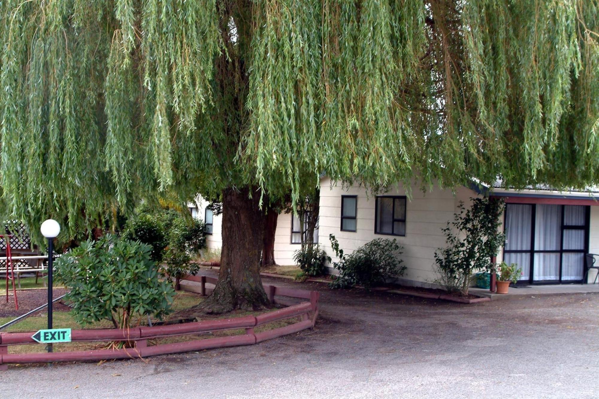 تاوبو Camellia Court Family Motel المظهر الخارجي الصورة