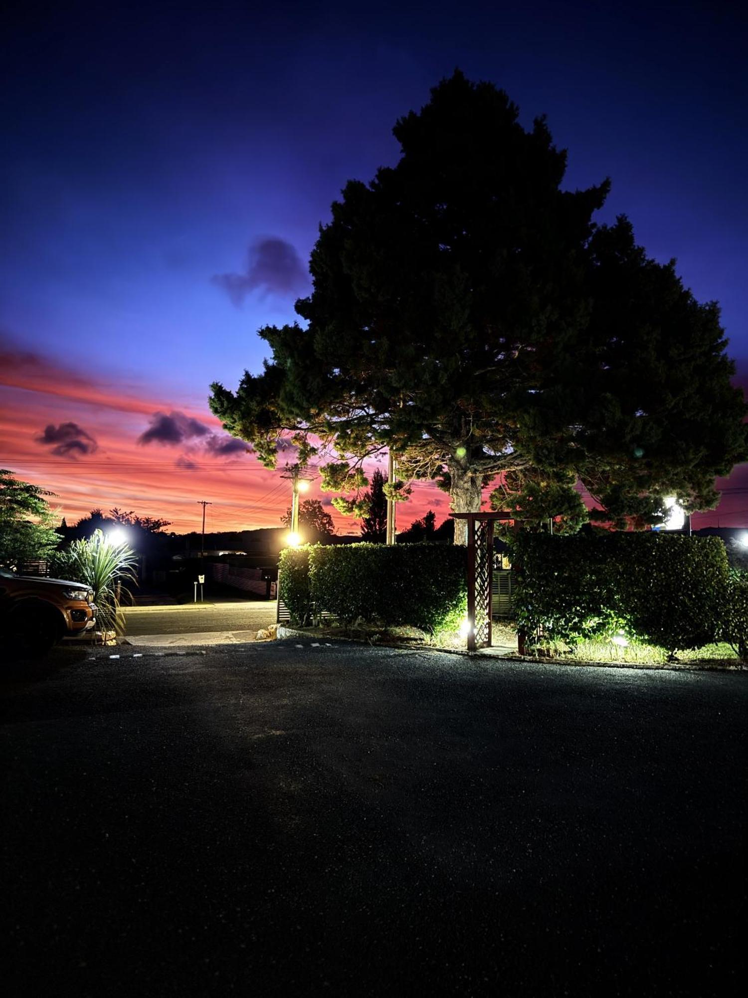 تاوبو Camellia Court Family Motel المظهر الخارجي الصورة